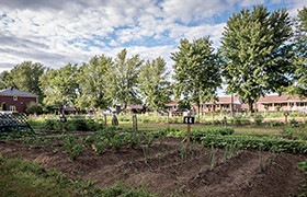 Jardin communautaire