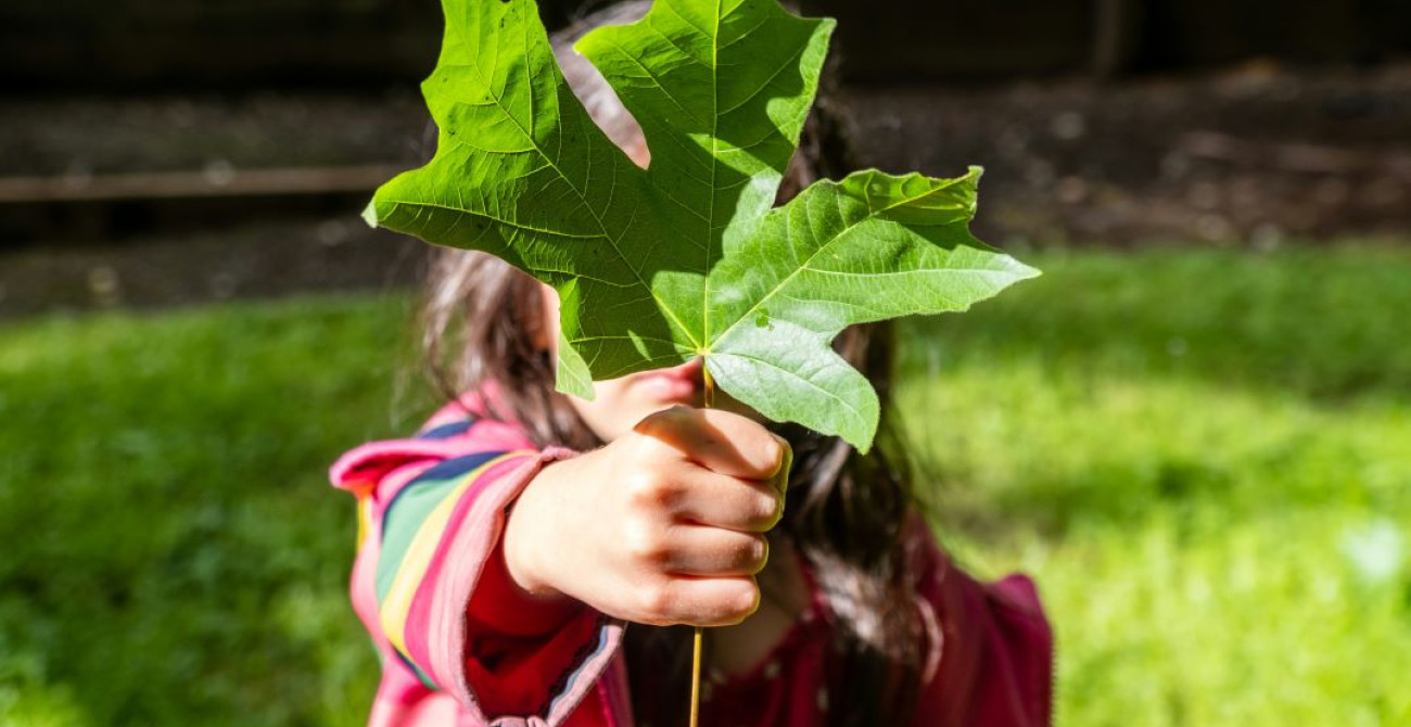 Fillette qui tient une feuille d'érable