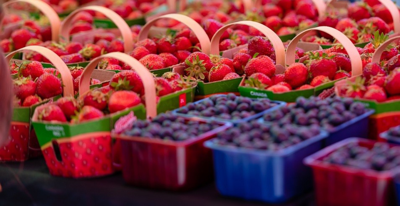 Paniers de petits fruits