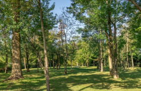 Parc Joseph-Pierre-Richard